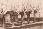 Ван Гог, Маленький домик на дороге с подстриженными ивами (380*282)