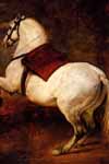 Веласкес, Белый конь (380*394)